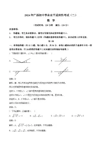 广西2024届九年级下学期中考二模数学试卷(含解析)