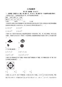 山东省临沂市兰陵县2024届九年级下学期期中阶段质量调研数学试卷(含答案)