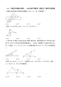 （6）三角形专项综合训练——2024届中考数学一轮复习三角形专项训练(含答案)