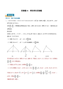 2024年中考数学压轴题型（浙江专用）压轴题06 相似相关压轴题（含解析）