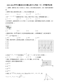 安徽省安庆市潜山市第四中学2023-2024学年九年级下学期开学考试数学试卷