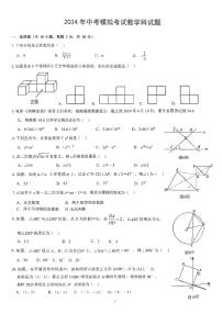 广东省江门市新会区葵城中学2023-2024学年九年级下学期6月中考模拟数学试题