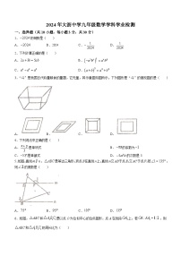 2024年广东省佛山市南海区大沥镇大沥中学中考模拟数学试题(无答案)