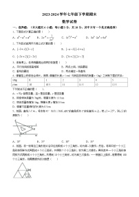 广东省湛江市2023-2024学年七年级下学期期末数学试题(无答案)