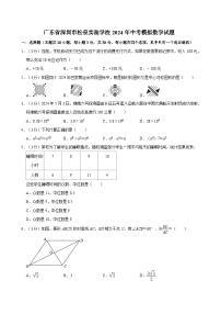 广东省深圳市松泉实验学校2024年中考模拟数学试题