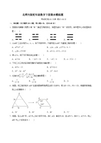 2023--2024学年北师大版八年级数学下册期末模拟题