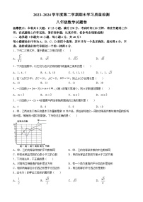 安徽省芜湖市无为市2023-2024学年八年级下学期期末数学试题