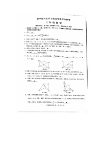 江苏省镇江市丹徒区2023-2024学年八年级下学期6月期末数学试题
