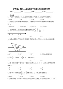 广东省大湾区2024届九年级下学期中考二模数学试卷(含答案)