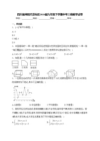 四川省绵阳市游仙区2024届九年级下学期中考三模数学试卷(含答案)