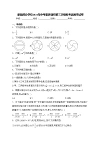 新疆部分学校2024年中考素养调研第三次模拟考试数学试卷(含答案)