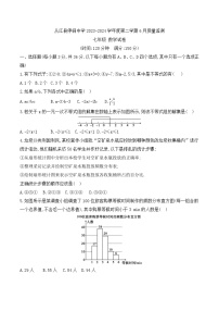 贵州省黔东南苗族侗族自治州从江县停洞中学2023-2024学年七年级下学期6月月考数学试题