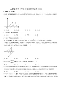 2023--2024学年人教版七年级数学下册期末复习试题