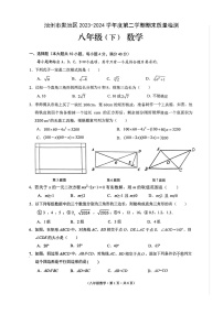 安徽省池州市贵池区2023-2024学年八年级下学期数学期末试卷