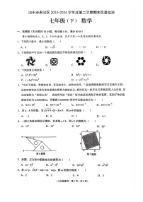 安徽省池州市贵池区2023-2024学年七年级下学期数学期末试卷