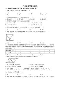 安徽省合肥市四十五中本部2023-2024学年八年级下学期期末数学试题(无答案)