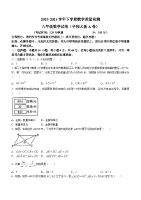 福建省漳州市2023-2024学年八年级下学期期末数学试题