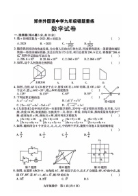 河南省郑州外国语2024年中考三模数学试卷(含答案)