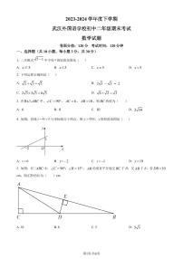 湖北武汉外国语学校2024年八年级下学期期末数学试题+答案