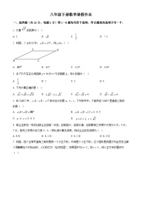 八年级下册数学暑假作业 (1)