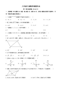 八年级下册数学暑假作业 (4)