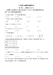 八年级下册数学暑假作业 (6)