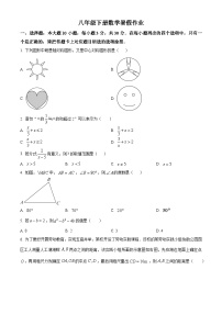 八年级下册数学暑假作业 (7)