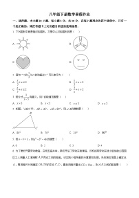 八年级下册数学暑假作业 (8)