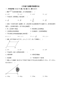 八年级下册数学暑假作业 (12)