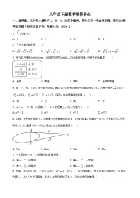 八年级下册数学暑假作业 (13)