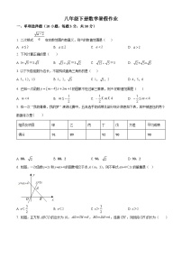 八年级下册数学暑假作业 (17)