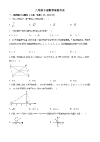 八年级下册数学暑假作业 (24)