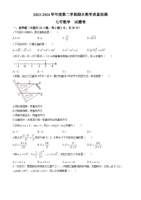 安徽省合肥市2023-2024学年七年级下学期期末数学试题