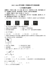 安徽省芜湖市无为市2023-2024学年七年级下学期期末数学试题