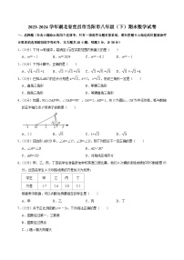 湖北省宜昌市当阳市2023-2024学年八年级下学期期末考试数学试卷