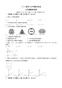 江西省吉安市遂川县2023-2024学年七年级下学期期末数学试题(无答案)