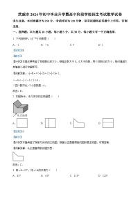 2024年中考真题—甘肃省武威市数学试题（解析版）