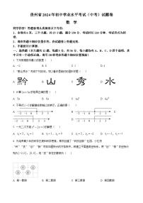 2024年中考真题—贵州省数学试题（原卷版）