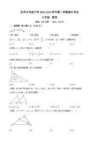 湖南省长沙市华益中学2022-2023学年七年级下学期期末数学试题（原卷及解析版）