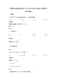 [数学]宁夏回族自治区吴忠市2023-2024学年八年级下学期期中试题（解析版）