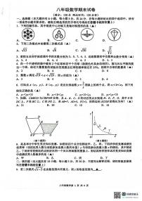 江苏省扬州市宝应县2023-2024学年下学期八年级数学期末试卷+