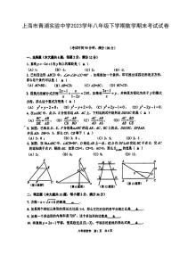 上海市青浦实验中学2023-2024学年八年级下学期数学期末考试试卷
