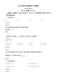 2024年中考真题—四川省成都市数学试题（解析版）