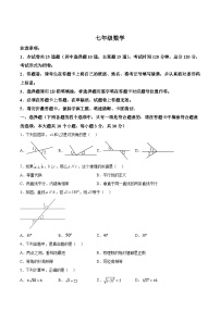 湖南省长沙市浏阳市2023-2024学年七年级下学期4月期中考试数学试卷(含解析)