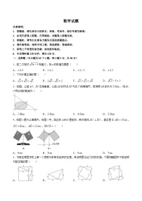 湖南师范大学附属中学2023-2024学年八年级下学期期中考试数学试卷(含答案)