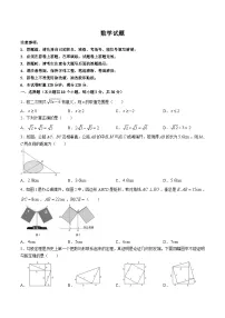 湖南师范大学附属中学2023-2024学年八年级下学期期中考试数学试卷(含答案)