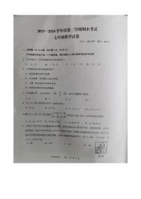 湖北省武汉市东湖高新区2023-2024学年 下学期七年级期末数学试卷