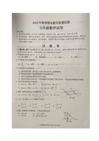 湖北省咸宁市通山县2023-2024学年七年级下学期期末数学试卷