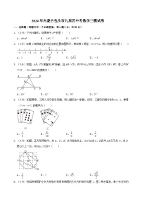 2024年内蒙古包头市九原区九年级中考数学三模试卷