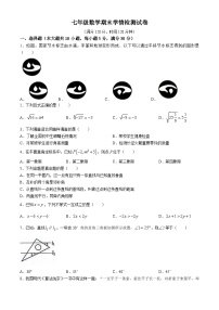 安徽省淮南市淮南实验中学2023-2024学年七年级下学期期末数学试题(无答案)